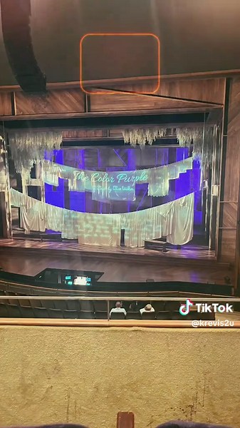 The Color Purple Broadway Musical in Chicago was captivating and unforgettable! 💜💜💜💜💜💜@Sydneealese thanks for hanging with me Niecy #goodmantheater #thecolorpurple