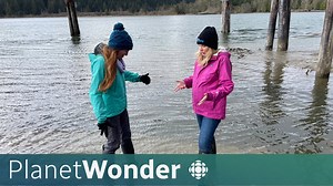 What impact could climate change be having on the jet stream? - The Global Herald