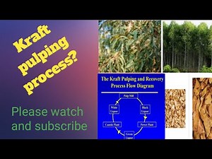 Kraft pulping process.