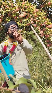 1.1M views · 10K reactions | Youth is the flame that lights the path...