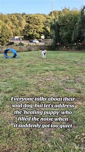 My girl 🩷 #childhooddog #souldog #rescuedog #petgrief #fyp #whitepuppy