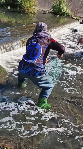 impressive fish catching using small net 😱🐟 #catchingfish #fishing #fish #river #viral