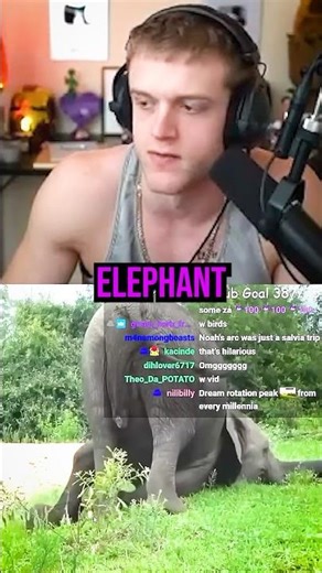 Joe Bart Reacts to Elephant Falling Over 😂