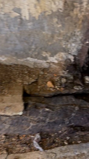 Daniel Gallagher on Reels