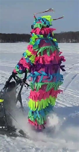 MYSTERY FUN RUN WITH MAT PAVIGLIO #snow #husky