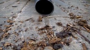 Kärcher Wet & Dry: The ultimate cleaning machine. Powerful suction...