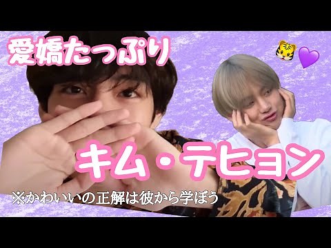 【BTS字幕動画】可愛い可愛いテテ。最後におまけ映像付き！