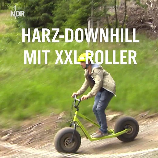 Mit dem XXL-Roller den Wurmberg im Harz runterbrettern - ein besonderes Erlebnis! 🤩 Haben Sie es schon probiert? 🛴 Mehr 👉ndr.de/nordtour14108.html | NDR.de