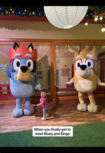 Meeting Bluey and Bingo: A Toddler's Dream Come True