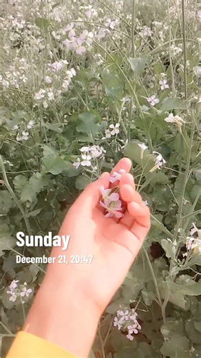 Community Health Worker (@alina12234)’s videos with original sound - Saju 🖤