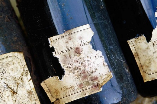 Does Your Wine’s Vintage Really Matter, or Is It Just a Marketing Ploy?