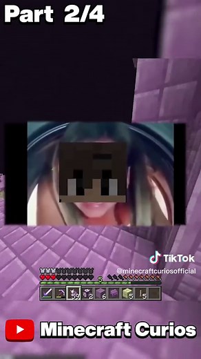 Trapped in End Void | Minecraft Curios