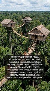 The Tribe That Lives 150 Feet in the Air in the World’s Highest Treehouse Villages | World's Most Amazing Facts