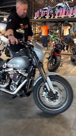 Customizing Low Rider S Motorcycles