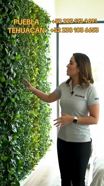 Muro Verde Ideal Sin Mantenimiento en Decoros