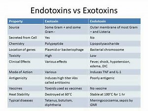 Exotoxin VS Endotoxin!