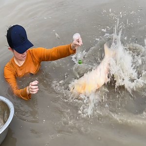 782K views · 8.4K reactions | The best fish trapping techinque with amazing beef for bait | Survival with Emma | Facebook