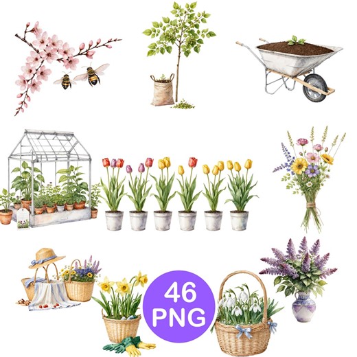 Watercolor Garden Clipart, Botanical Elements, Spring Garden Clip Art, Spring PNG Images (transparent Bg, Digital Download, Printables) - Etsy