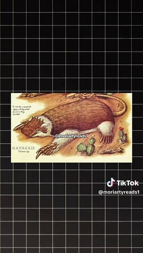 Exploring 'After Man': A Zoology of the Future