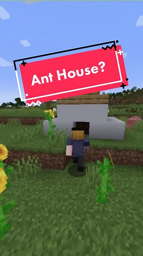 Exploring an Ant Colony House in Minecraft