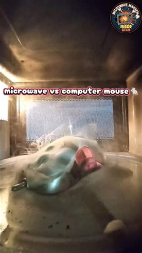 microwave vs computer mouse 🐀 what's next? #microwave #experiment #computermouse