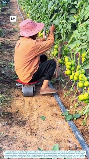 Rolling Garden Seat – A Smart Innovation for Farmers