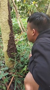 2.4M views · 10K reactions | Semua kita bikin logo in | Bule Tms | Facebook