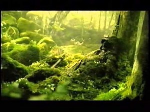 PS2 鬼武者３ CM2