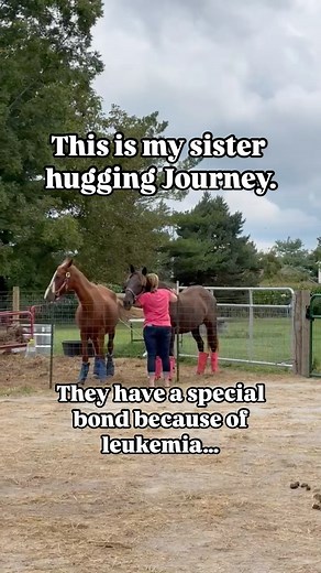 Happy Birthday to my sister! 🎉🥳 She is a warrior, and I’m so proud of her. Over the last several years, I saw her face the worst life can give and come back on top. She is an inspiration to us all, and even more, she loves animals too. Thank you for all your support! All donations are tax deductible! We are a nonprofit with EIN: 93-1491042 ✅Venmo: indianabarnyardofficial ✅PayPal: kat@indianabarnyard.org Thank you, friends. ♥️ #leukemiawarrior #nonprofit #equinerescue #indiana #indianabarnyard 