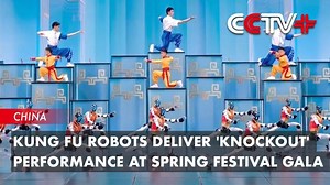 Kung Fu Robots Deliver Knockout Performance at Spring Festival Gala | TEMPULSE GLOBAL CONSULTANCY B.V.