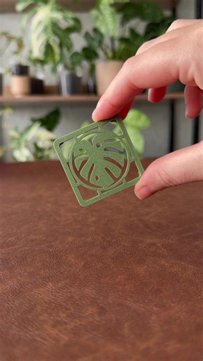 Método Puddle para germinar cormos de Alocasia
