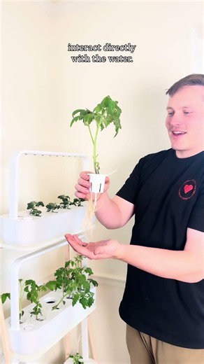 Click & Grow Seed Starting Experiment