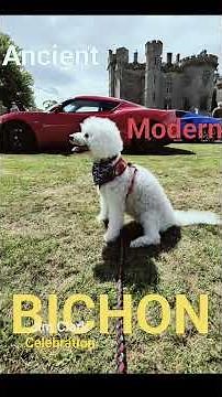 Jim Clark Celebration - Duns Castle #motorsport #f1