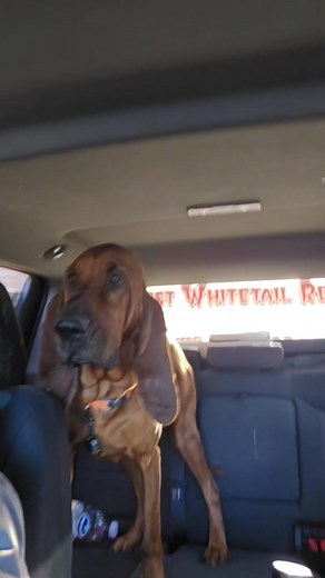 Mike Calkins on Reels