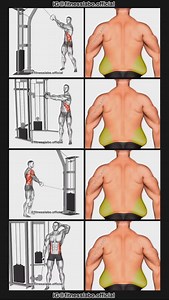✅ How to Remove Love Handles ① Cable Twist Up Down ② Cable Twist ③ Cable Standing Lift ④ Cable Side Bent 3 sets 15-20 reps #fitness #gym #exercise #workout #workoutroutine #exercisetips #fitnesstips #bodybuilding #abs #absworkout | Fitnesslabo