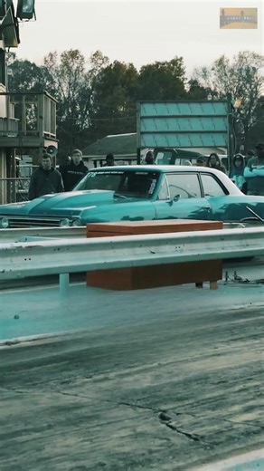 Can a turtle beat a nitro car?