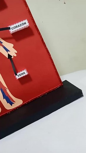 📌 Maqueta del sistema circulatorio 💢 PEDIDOS📲901830249 #primaria #inicial #maqueta #manualidades #creaciones #maqueta #sistemacirculatorio #sistema #sistemacirculatorio💖 #circulatorio #corazón #arterias #venas #aorta