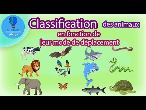 Classification des animaux en fonction de leur mode de déplacement | Let's Learn