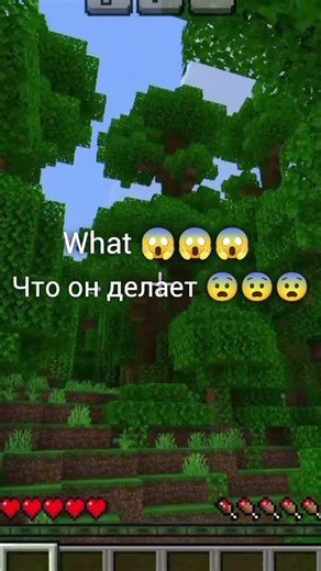 чем занимаетесья карова😱😅