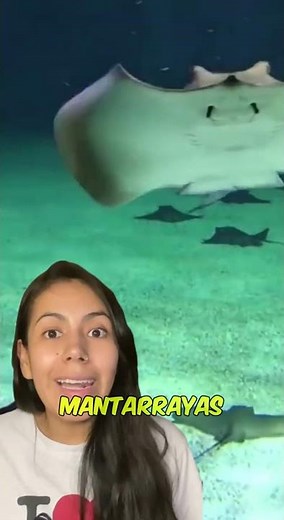 Partos en Mantarraya #shorts