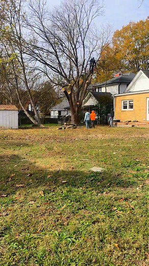 🌳⚠️ Got a problem tree? We’ll take it down safely! ⚠️🌳 Don’t risk damage to your home or property — our Tree Removal Experts handle it all: ✅ Safe, professional tree removal ✅ Storm-damaged or dead trees ✅ Fast, reliable service Your safety is our priority — and your yard will look spotless when we’re done! 💪 📞 Call or text (704) 956-8235 for a FREE estimate today! Let’s make your property safe and beautiful again 🌿✨ | Just Perfect Tree Service