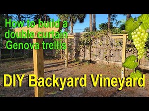 DIY Muscadine Vineyard | Building a Double Wire Trellis Step-by-Step
