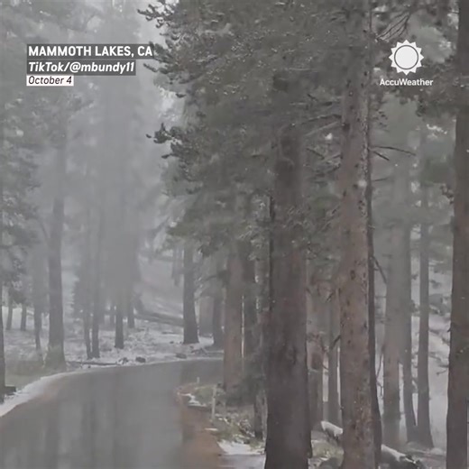 Talk about a snowglobe scene in Mammoth Lakes, CA ☃️ | AccuWeather
