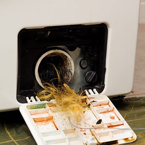 Thanks for watching! Please be aware that this video is for entertainment purposes only and techniques shown should not be attempted at home! | Creative Panda