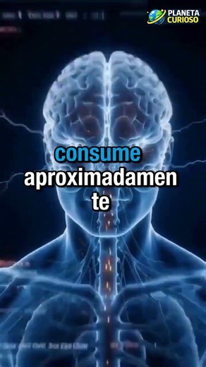 El órgano que consume el 20% de tu energía 😱🧠 #curiosidades #horadelplaneta #datocurioso