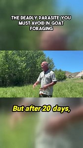 🚨 One of the top three killers of goats? Barber pole worm. And the #1 mistake that leads to it? OVERGRAZING. Never forage a pasture for more than 20 days without rest. Ever. We're also building stronger pastures with compost and smart replanting—check it out 👇 #GoatHealth #HomesteadTips #PastureManagement #PackGoats | packgoats.com