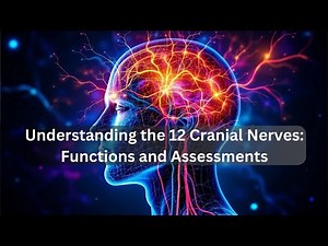Understanding the 12 Cranial Nerves: Functions and Assessments