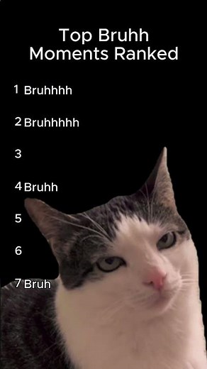 Top Bruh Moments Ranked: Cats Being Total Chaos 🐱💀 | Part 1