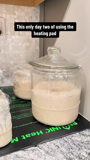 Sourdough Starter Heating Pad for Cold Weather Troubles