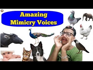 ANIMAL & BIRD's mimicry voices | UNBELIEVABLE MIMICRY of Birds & Pet Animals